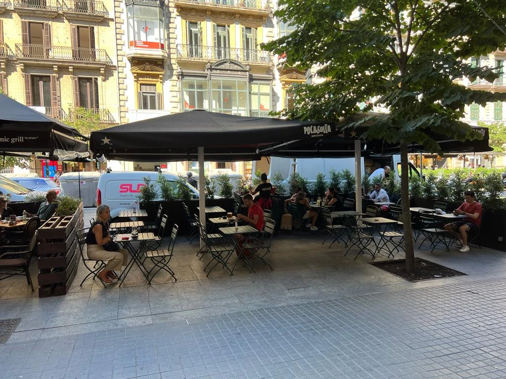 img_20220711_wa0035_1_1x