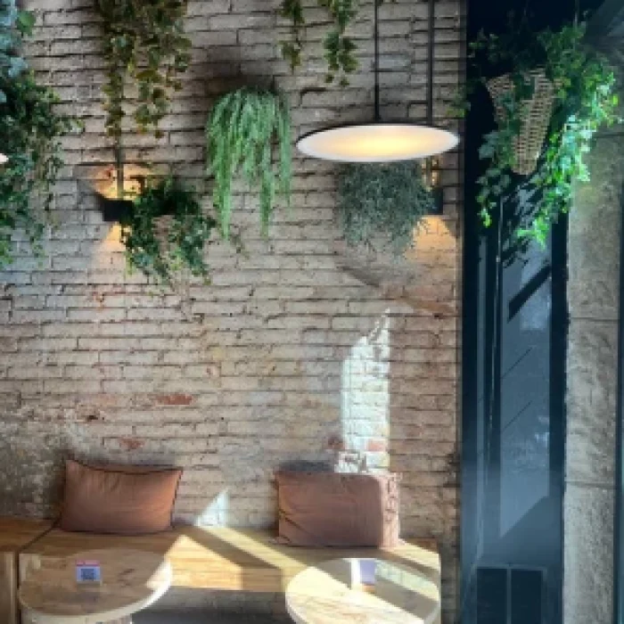 img_20220711_wa0106_1_1x